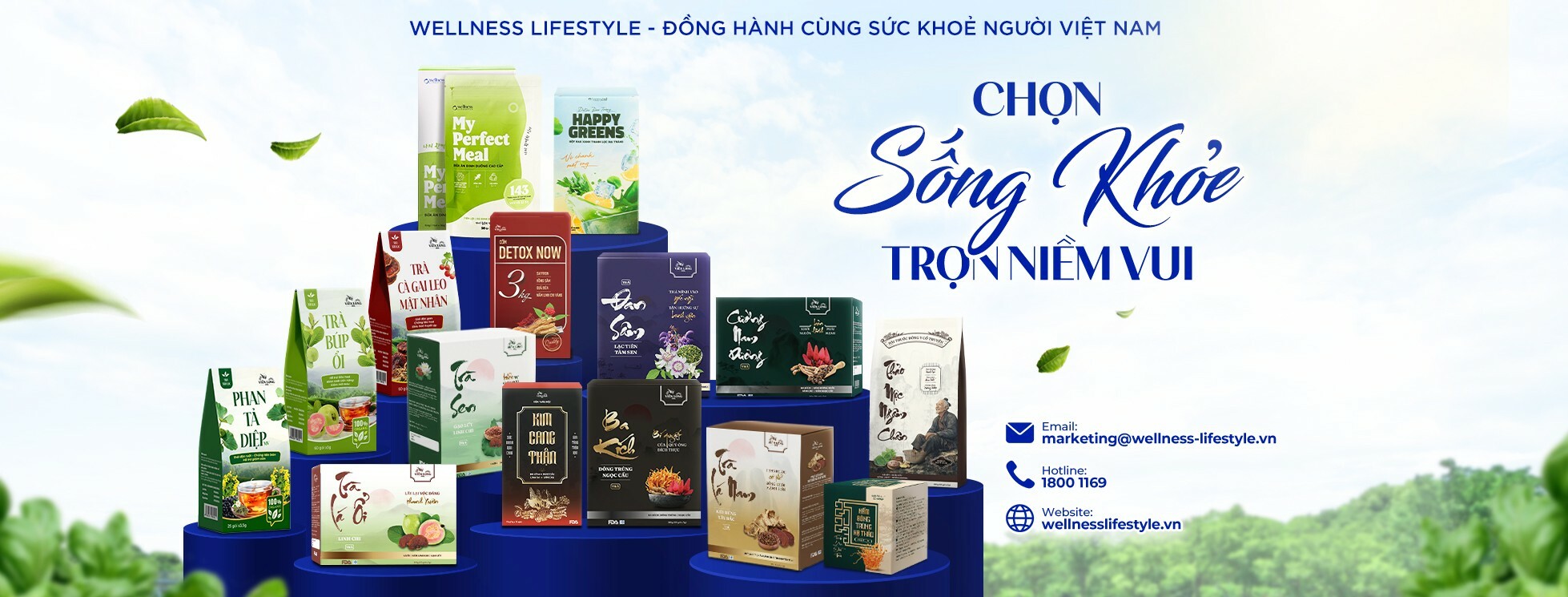 Cover image for Wellness Lifestyle