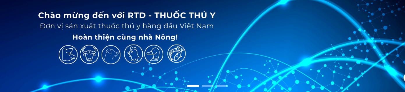 Cover image for Công Ty Cổ Phần RTD
