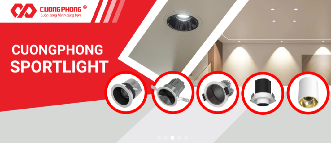 Cover image for Cường Phong Việt Nam