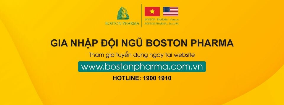 Cover image for Boston Việt Nam