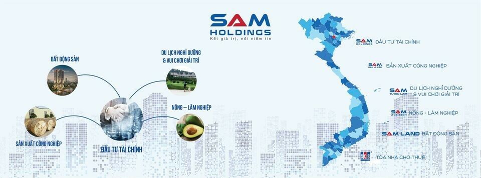 Cover image for Sam Holdings