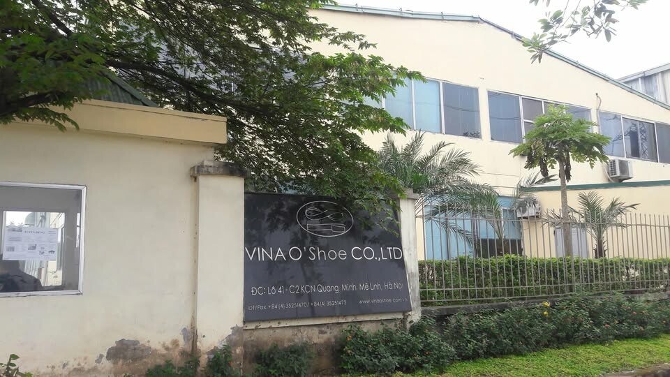 Cover image for Vina O'Shoe