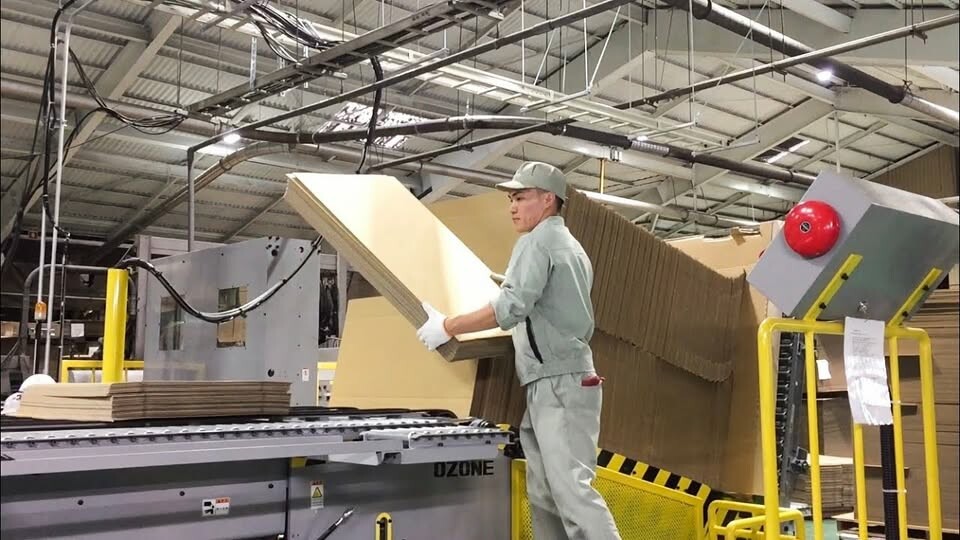 Cover image for Hupuna Group