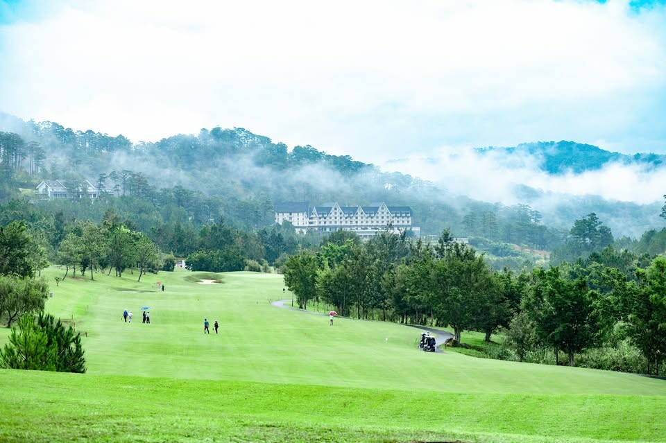Cover image for SACOM TUYỀN LÂM
