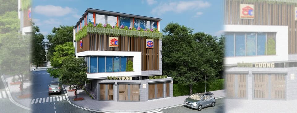 Cover image for Đông Cường