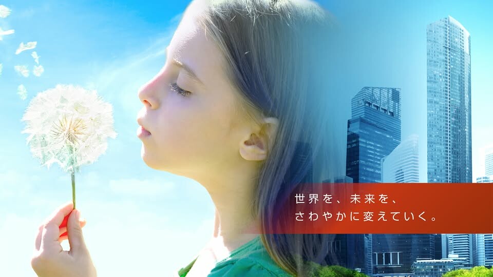 Cover image for Shinryo Vietnam Corporation