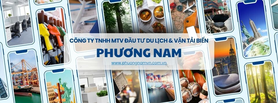 Cover image for ĐẦU TƯ PHƯƠNG NAM