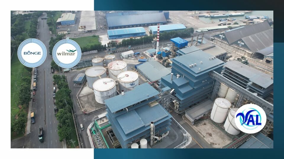 Cover image for Công Ty TNHH Kinh Doanh Nông Sản Việt Nam