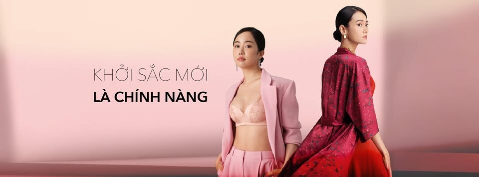 Cover image for Triumph International Việt Nam