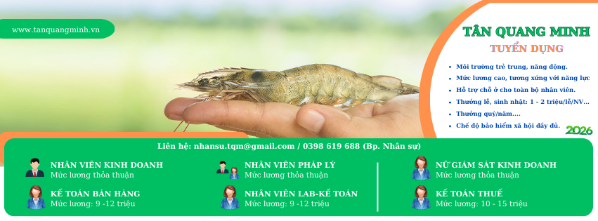 Cover image for CÔNG TY TNHH TÂN QUANG MINH SÀI GÒN