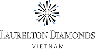 Cover image for Laurelton Diamond Việt Nam