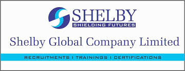 Cover image for Shelby Global