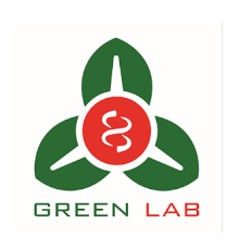 Cover image for Green Lab