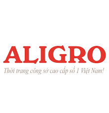 Cover image for CÔNG TY ALIGRO