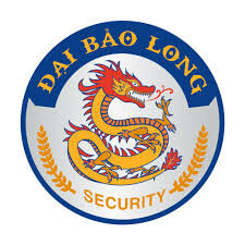 Cover image for Đại Bảo Long