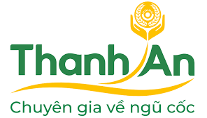 Cover image for Thanh An Food