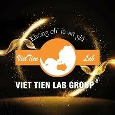 Cover image for Việt Tiên Group