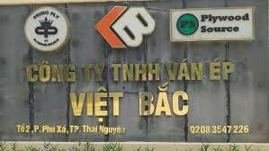 Cover image for Ván Ép Việt Bắc