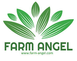 Cover image for Farm Angel