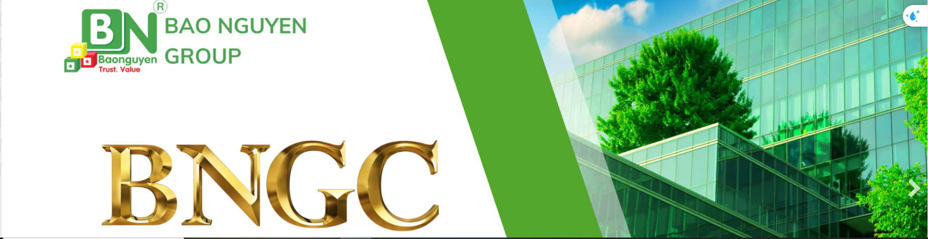 Cover image for Bảo Nguyên Education