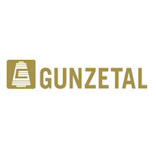 Cover image for GUNZETAL