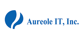Cover image for Aureole Information Technology (AIT)
