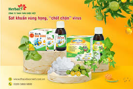 Cover image for Thảo Dược Việt