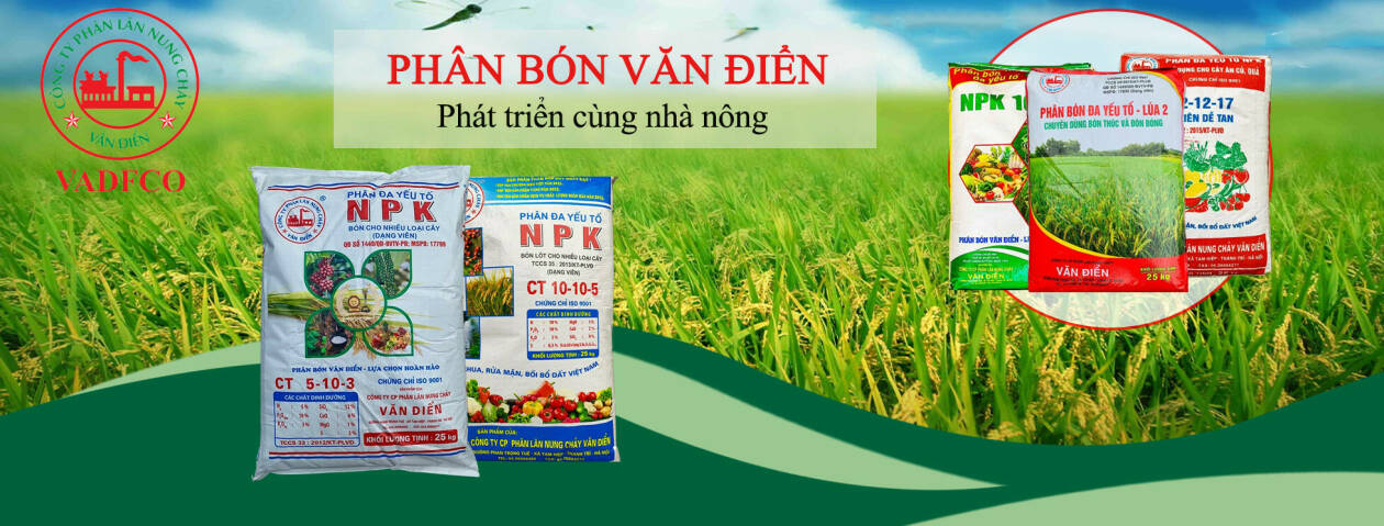 Cover image for Phân lân Văn Điển