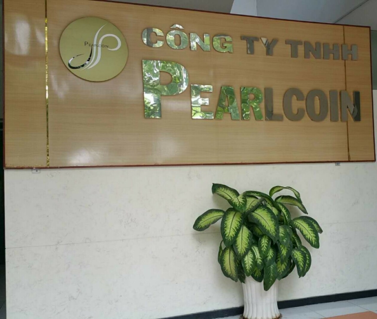 Cover image for Pearlcoin Việt Nam