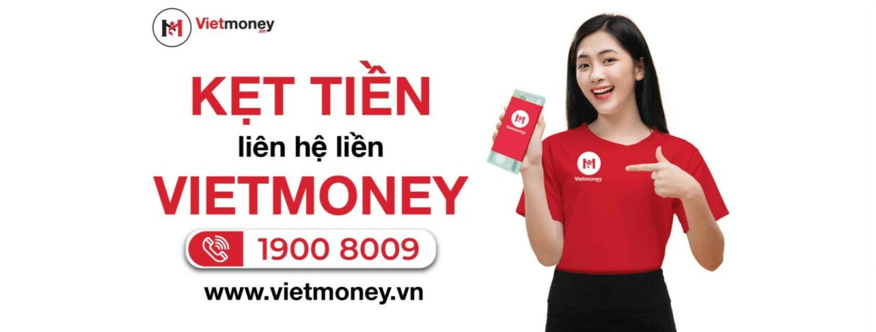 Cover image for VietMoney