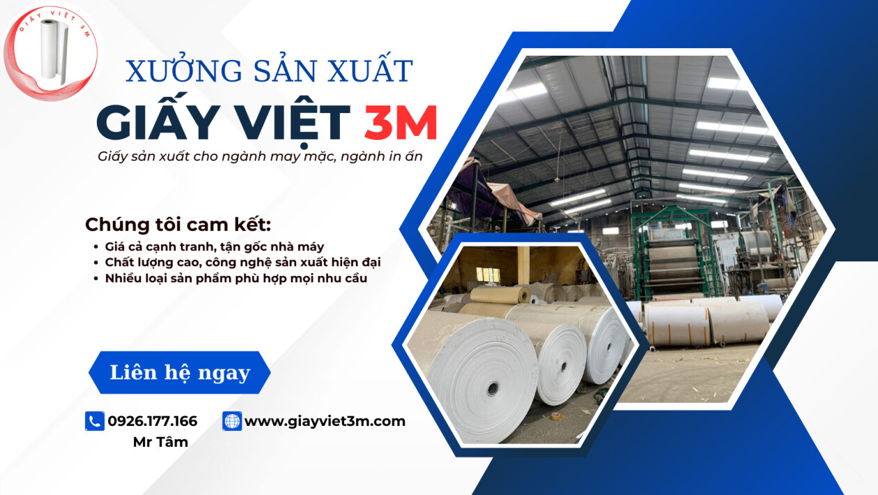 Cover image for Giấy Việt 3M