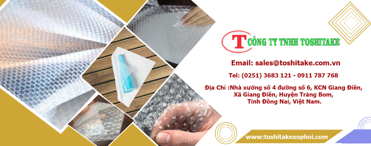 Cover image for TOSHITAKE