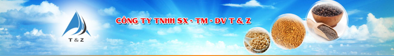 Cover image for SX TM DV T&Z