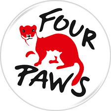Cover image for Four Paws