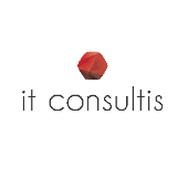 Cover image for IT Consultis
