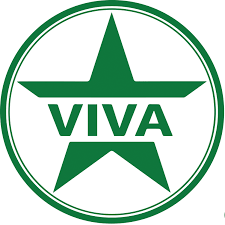 Cover image for Viva International