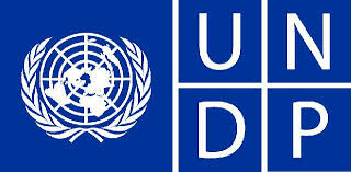 Cover image for UNDP