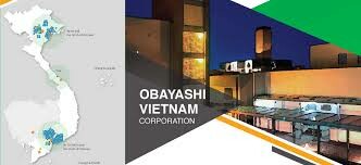 Cover image for Obayashi