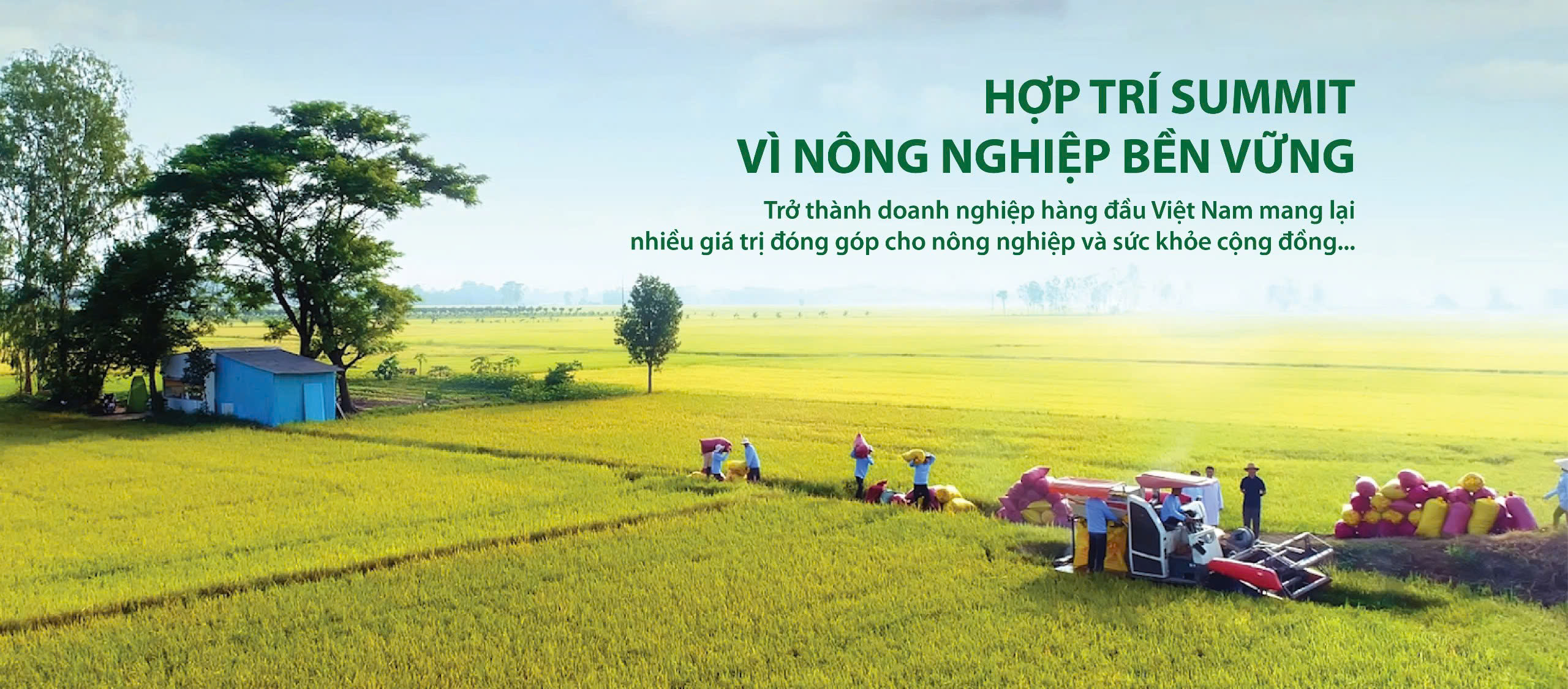 Cover image for Công ty Hợp Trí