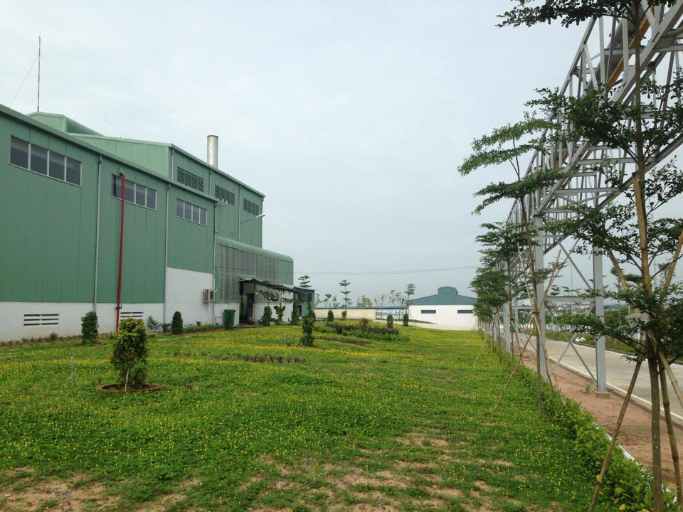 Cover image for Đầu Tư Sản Xuất Năng Lượng Xanh