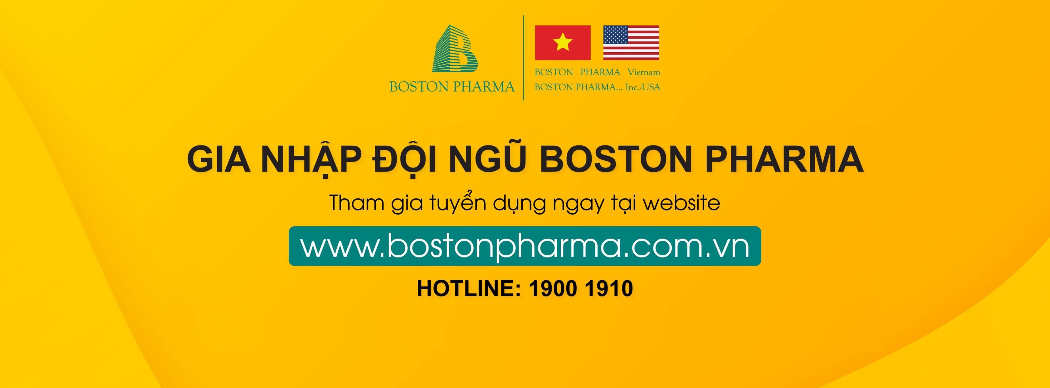 Cover image for Boston Việt Nam