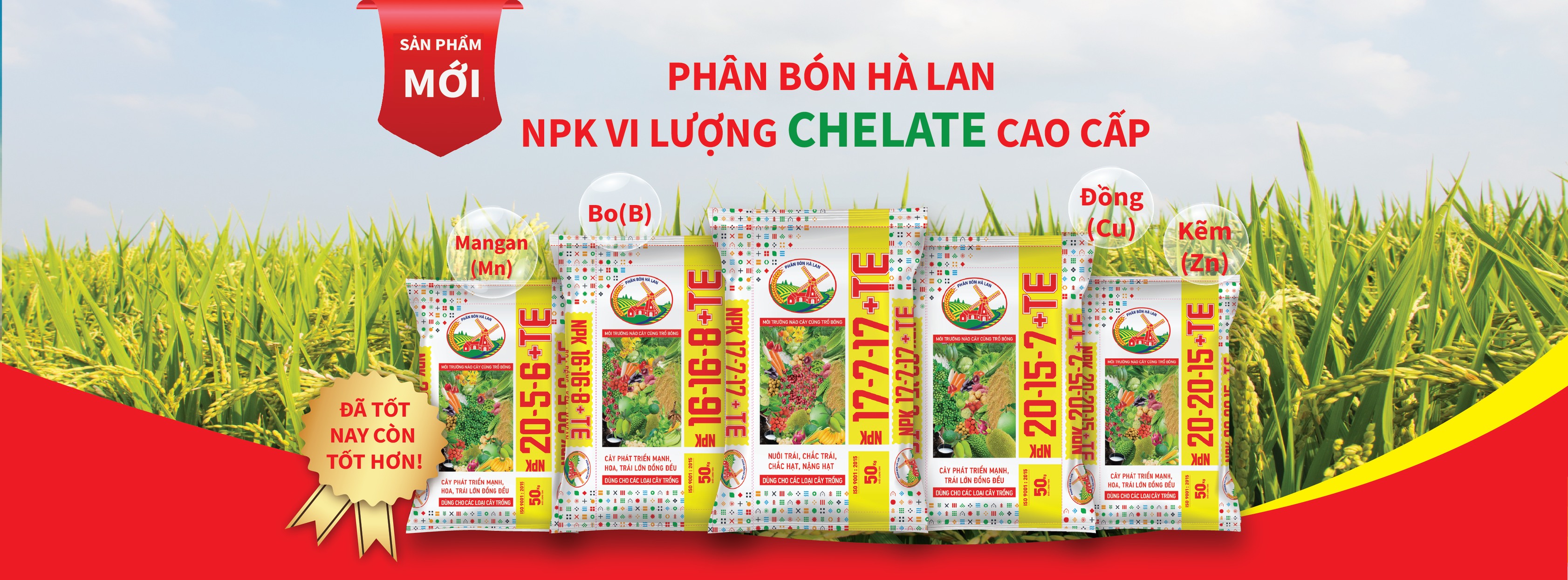 Cover image for PHÂN BÓN HÀ LAN