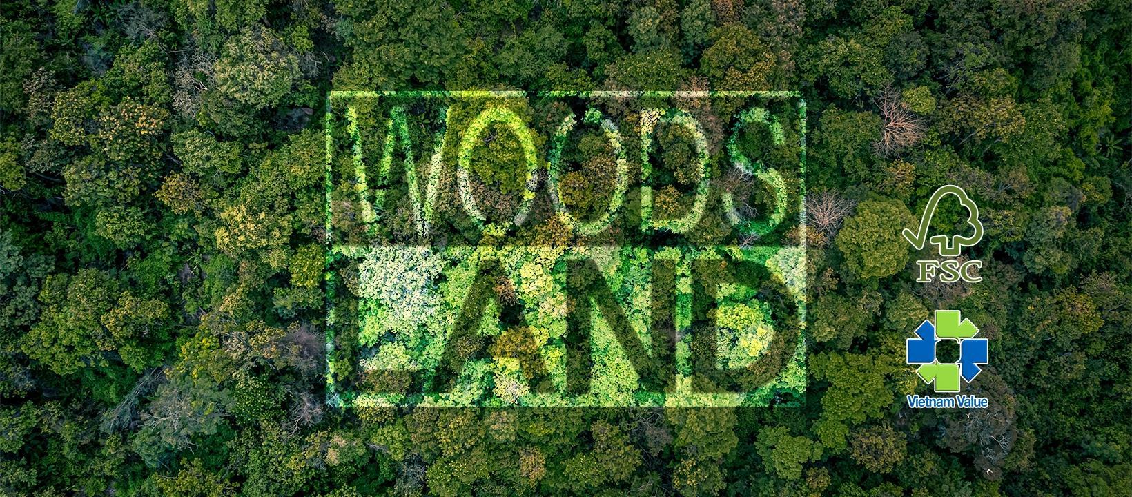 Cover image for Woodsland