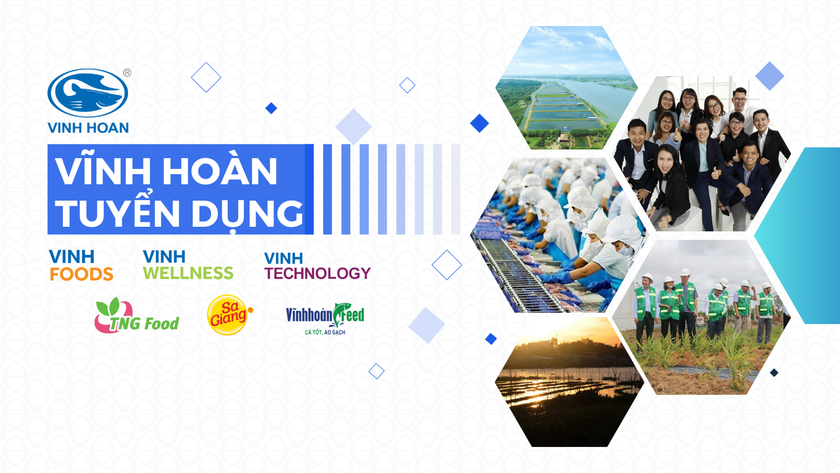 Cover image for VĨNH HOÀN