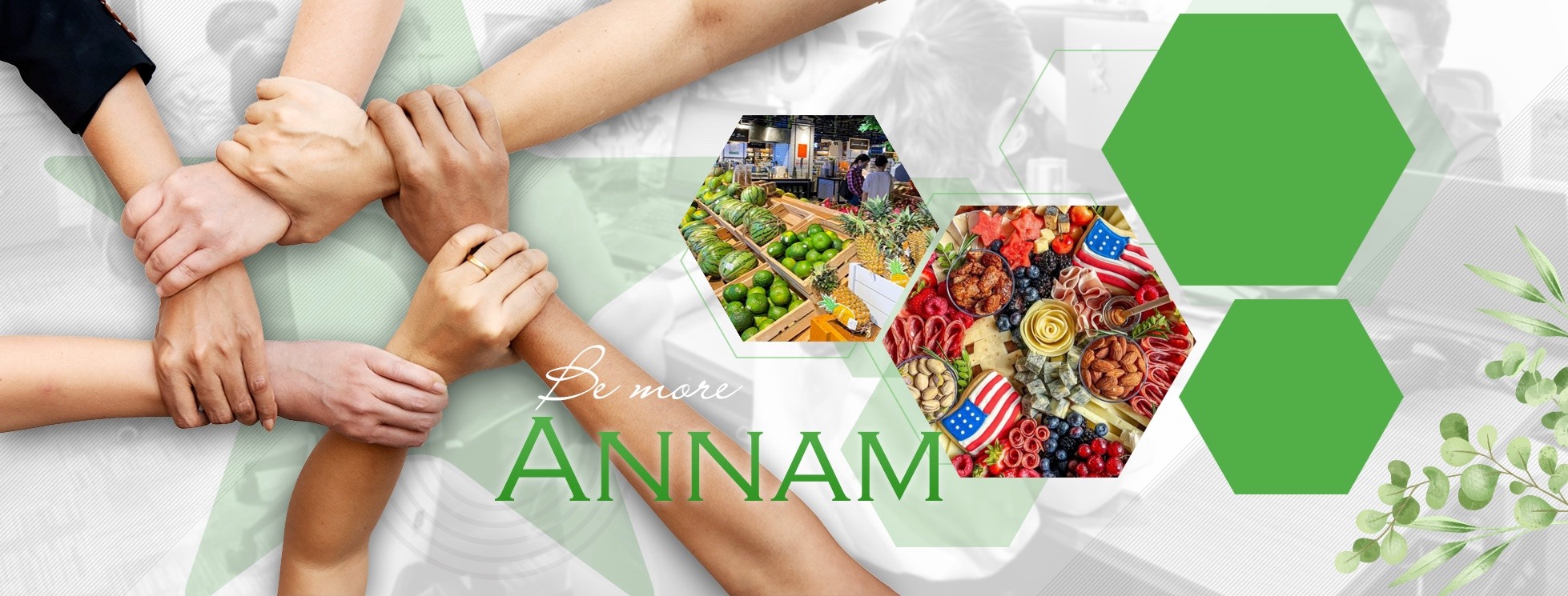 Cover image for ANNAM GROUP