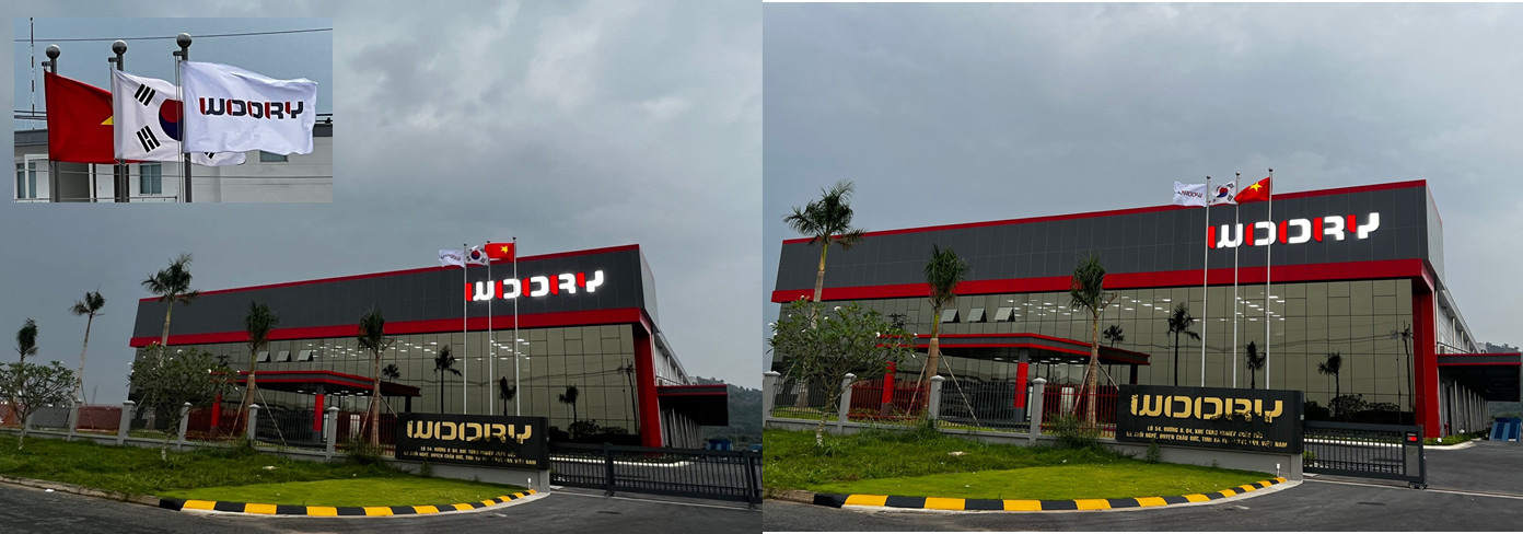 Cover image for Woory Việt Nam