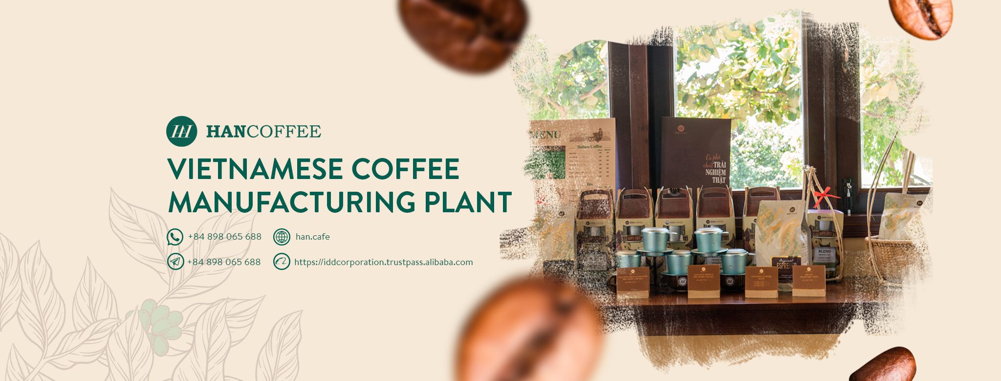 Cover image for IDD Việt Nam