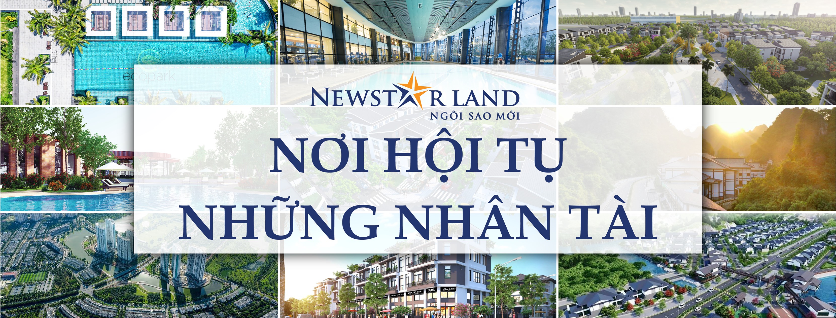 Cover image for BĐS Newstarland