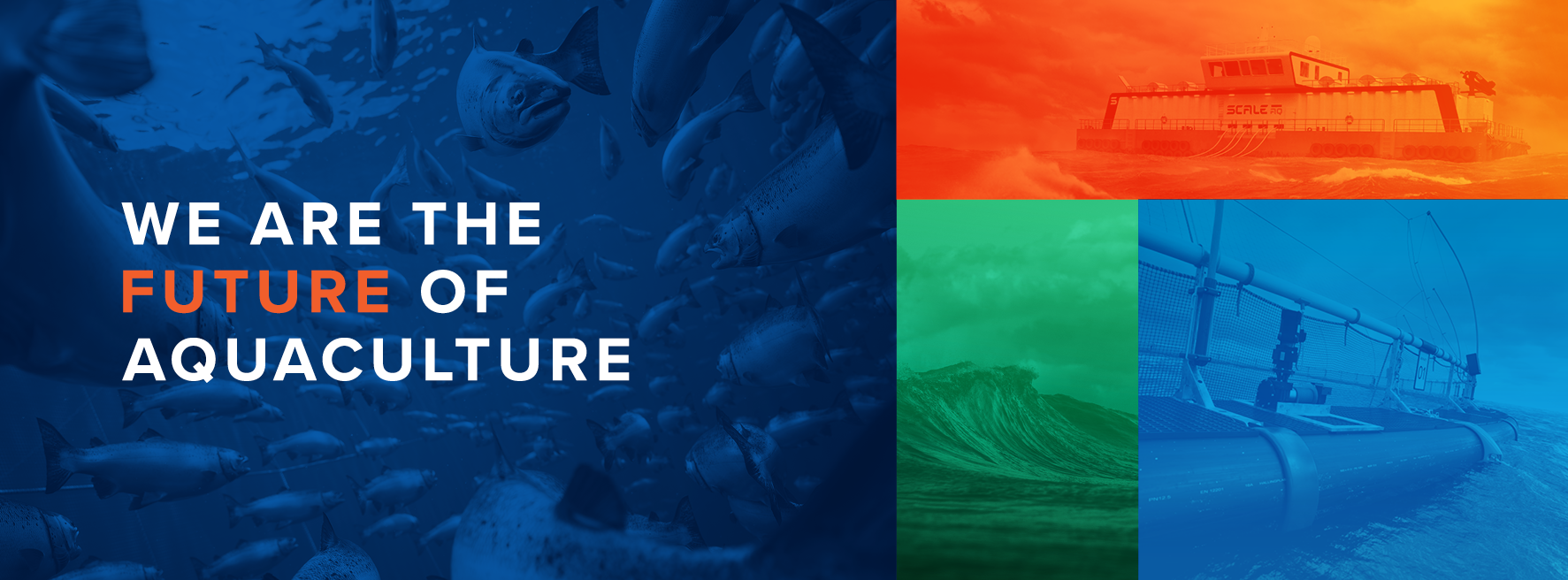 Cover image for Scale AQ