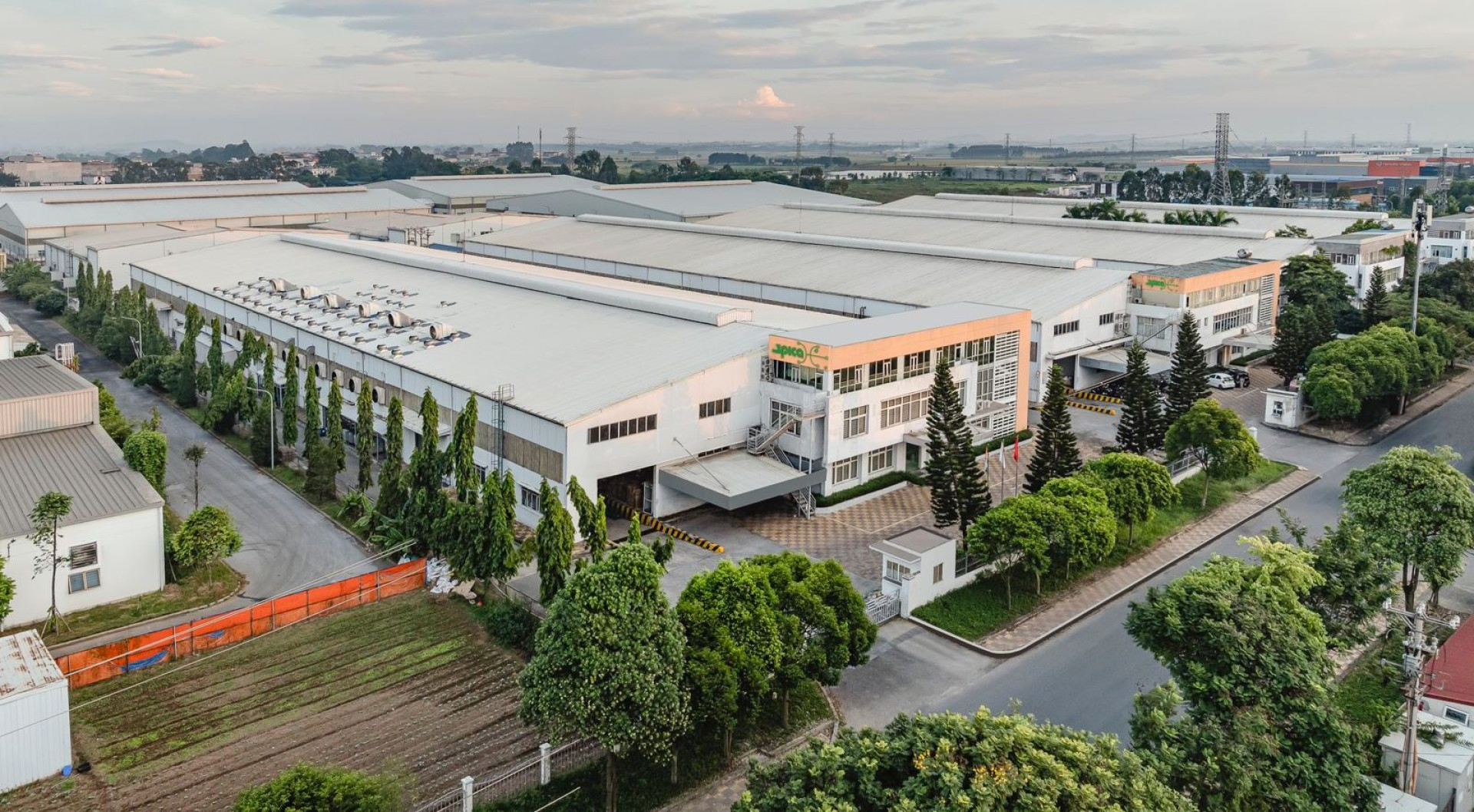 Cover image for Spica Elastic Việt Nam